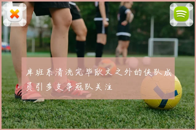 库班系清洗完毕欧文之外的侠队成员引多支争冠队关注